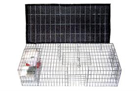 Medium Pigeon Trap Loaded 35x16x8